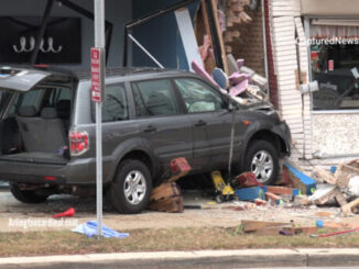 Fatal SUV-pedestrian crash on Northwest Highway in Des Plaines.