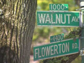 Walnut Avenue and Flowerton Road (CBS Baltimore)